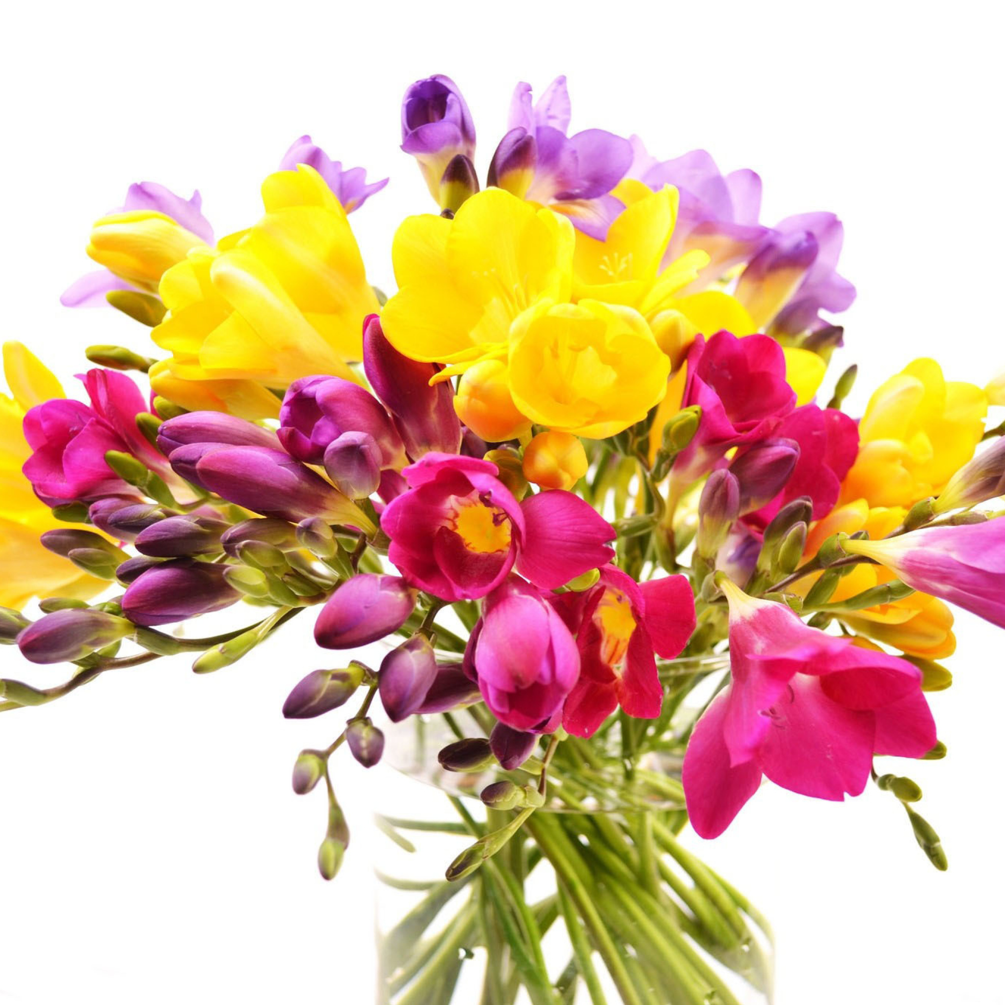 Screenshot №1 pro téma Summer Flowers Bouquet 2048x2048