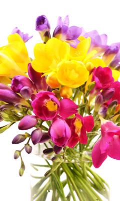 Summer Flowers Bouquet screenshot #1 240x400