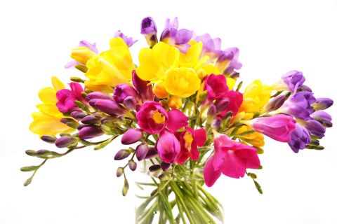 Summer Flowers Bouquet wallpaper 480x320