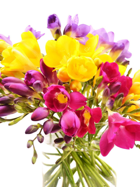 Fondo de pantalla Summer Flowers Bouquet 480x640
