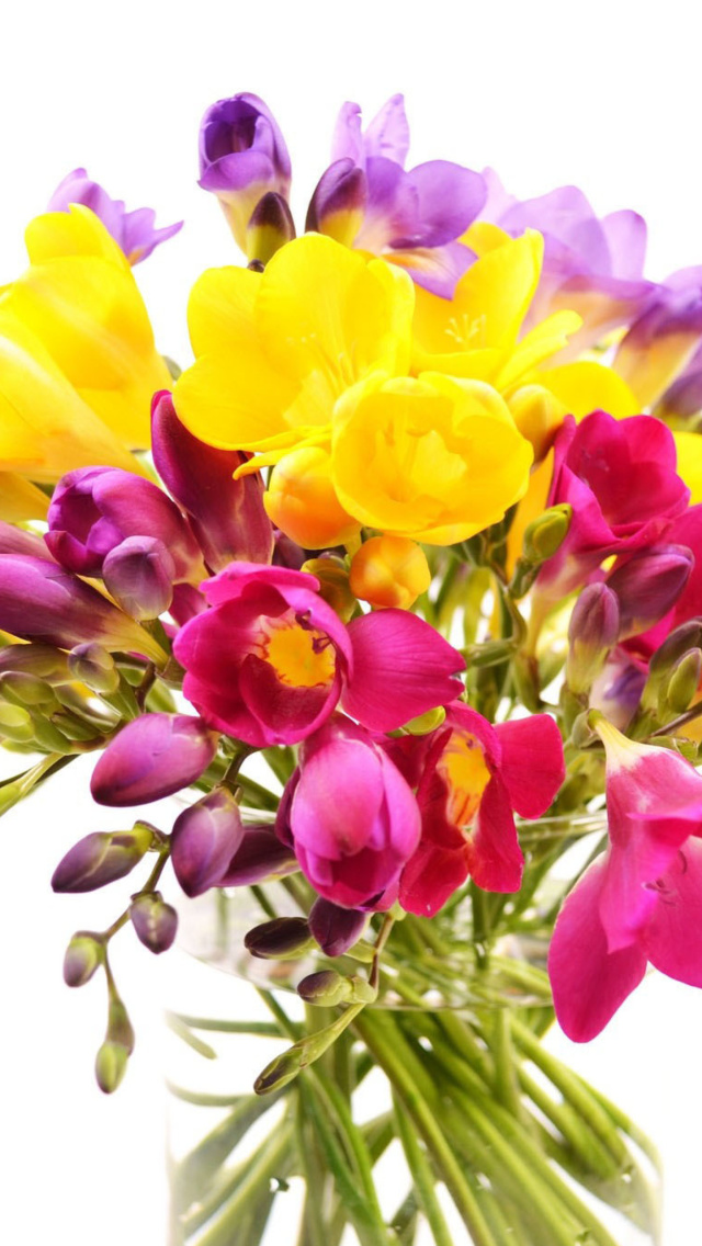 Screenshot №1 pro téma Summer Flowers Bouquet 640x1136