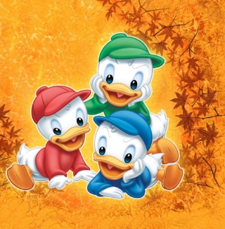 DuckTales - Obrázkek zdarma pro 1024x1024