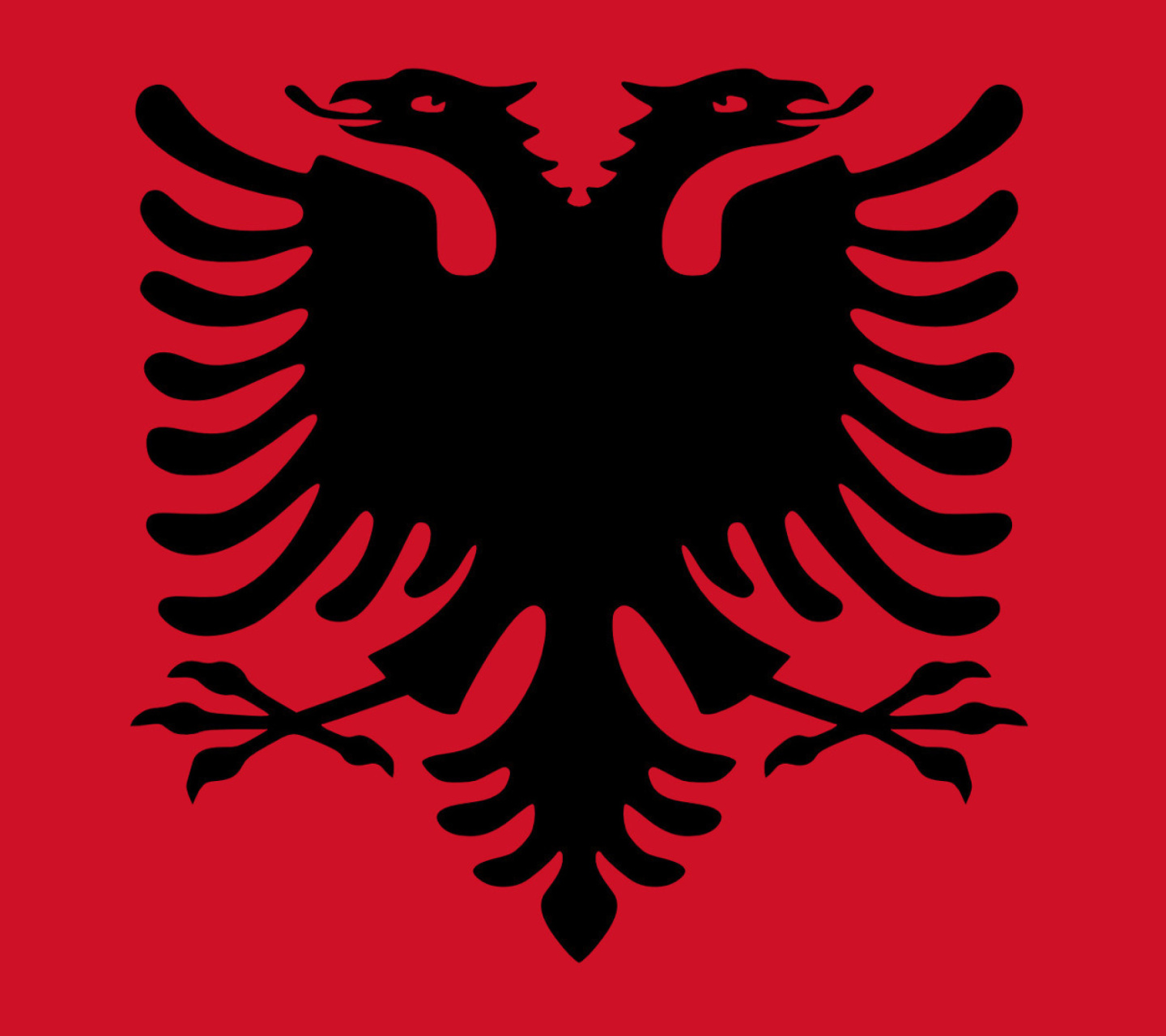 Flag Of Albania wallpaper 1440x1280