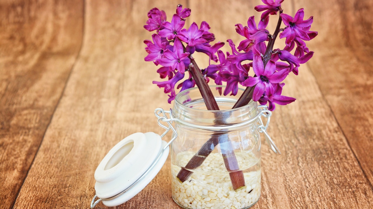 Sfondi Flower petals in jar 1280x720