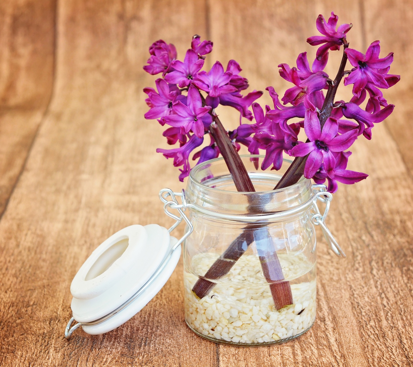 Flower petals in jar wallpaper 1440x1280