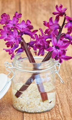 Sfondi Flower petals in jar 240x400