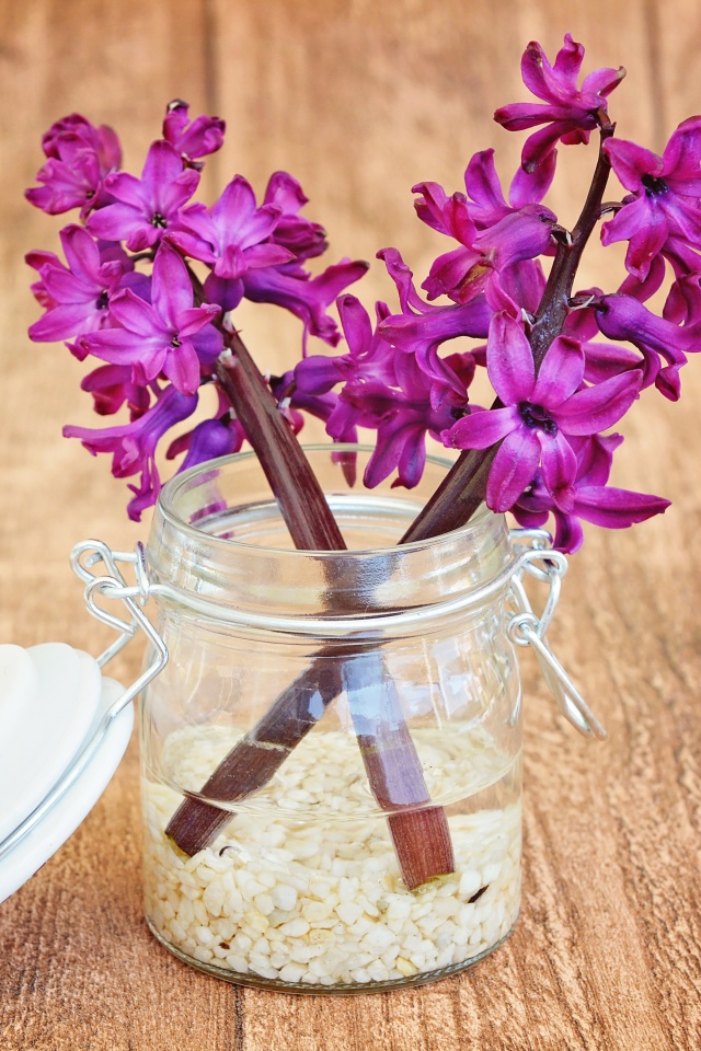 Flower petals in jar screenshot #1 640x960