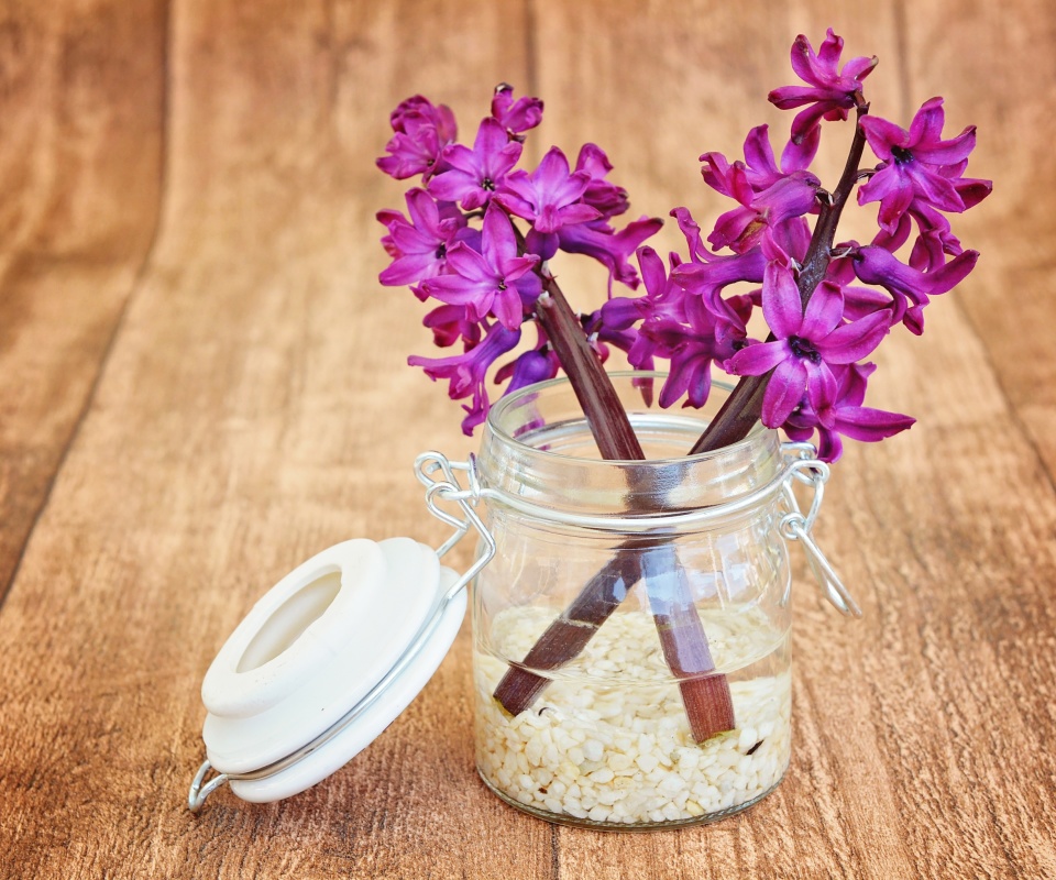 Sfondi Flower petals in jar 960x800