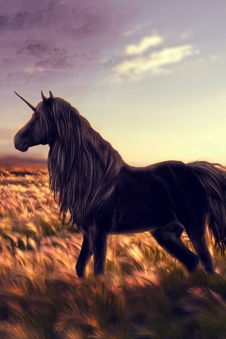 Fantastic Unicorn screenshot #1 320x480
