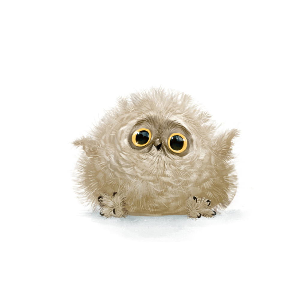 Funny Owl Illustration wallpaper 1024x1024