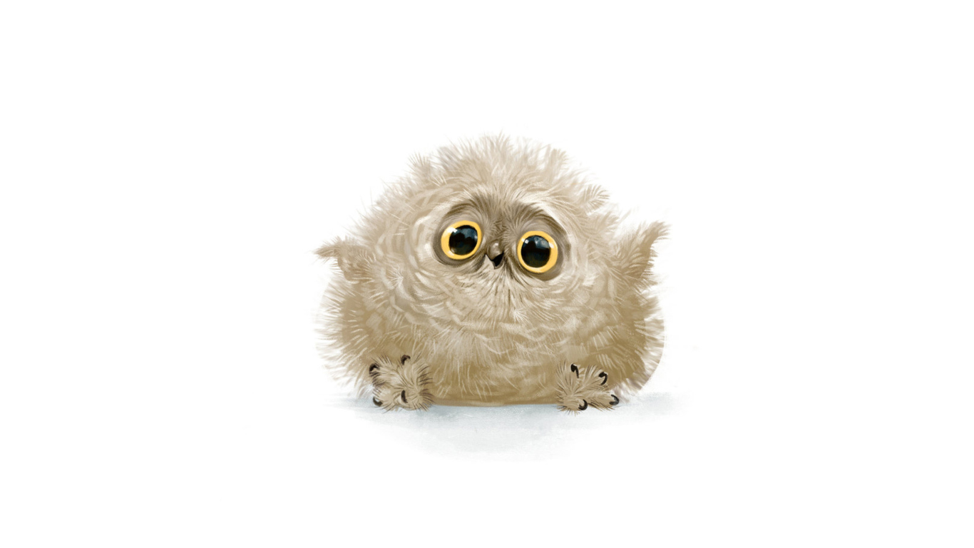 Fondo de pantalla Funny Owl Illustration 1366x768