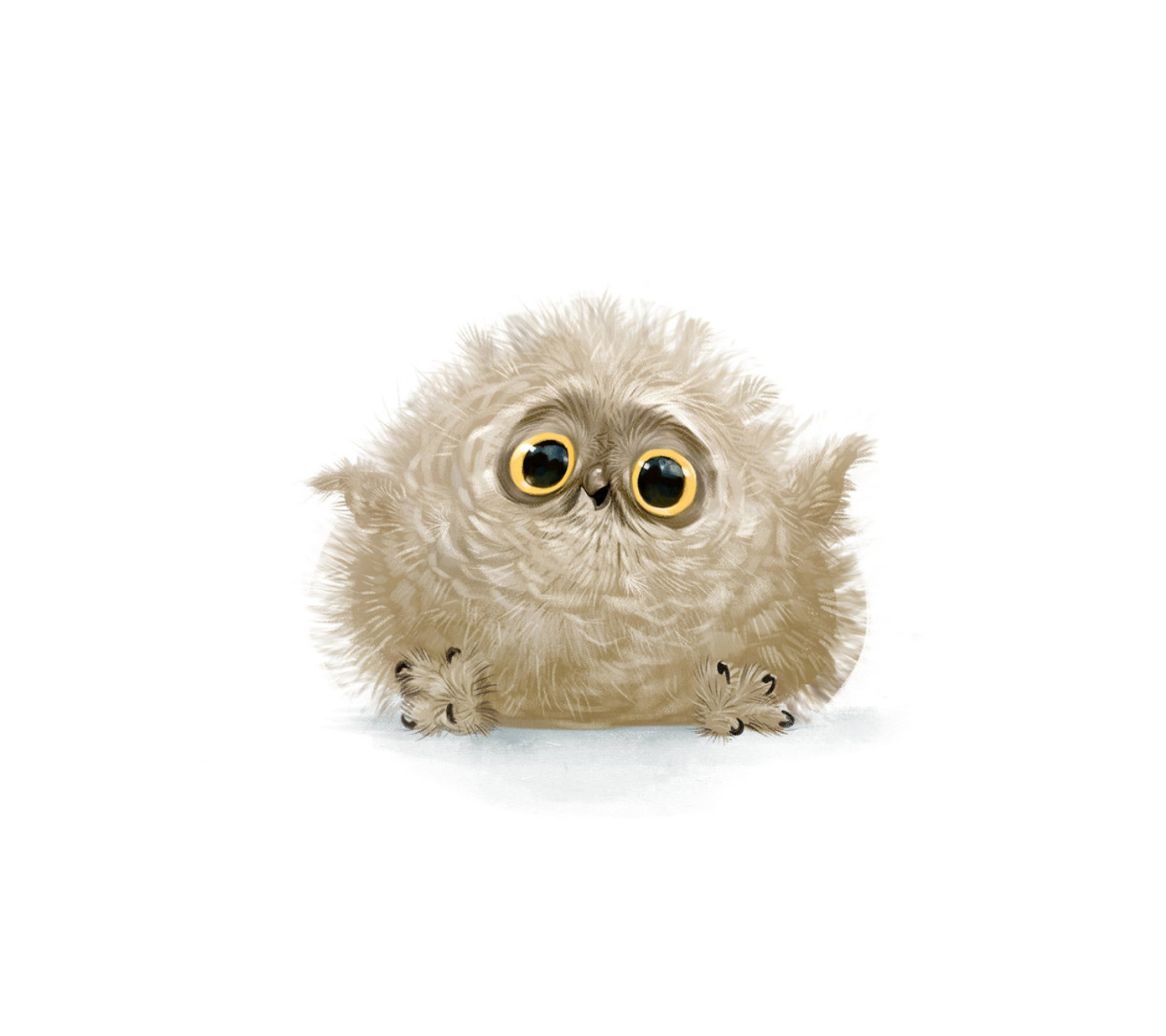 Funny Owl Illustration wallpaper 1440x1280