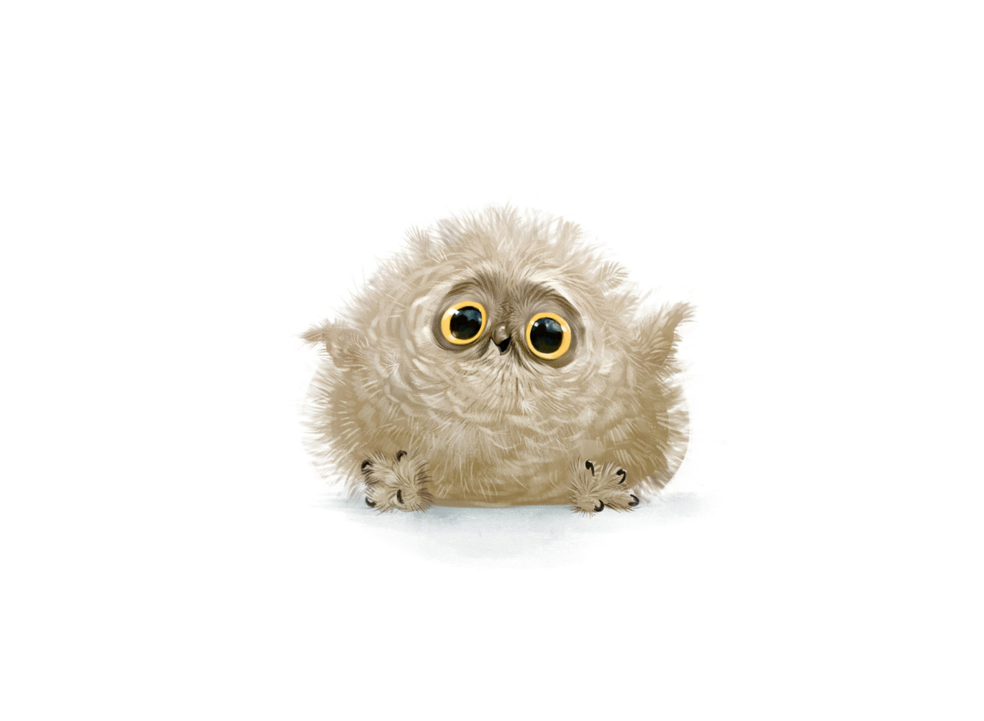 Funny Owl Illustration wallpaper 1920x1408