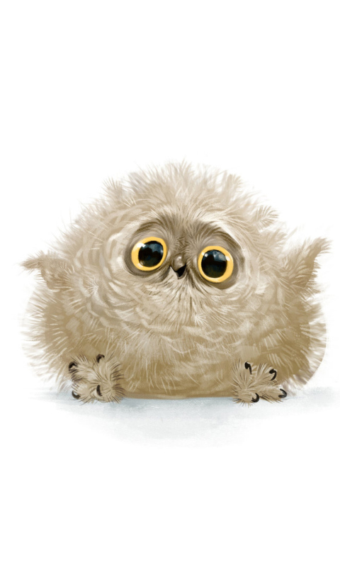 Das Funny Owl Illustration Wallpaper 480x800