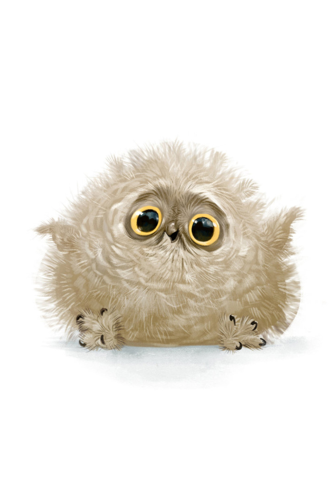 Das Funny Owl Illustration Wallpaper 640x960