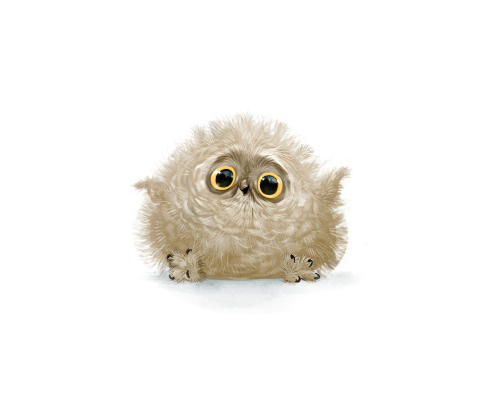 Das Funny Owl Illustration Wallpaper 960x800