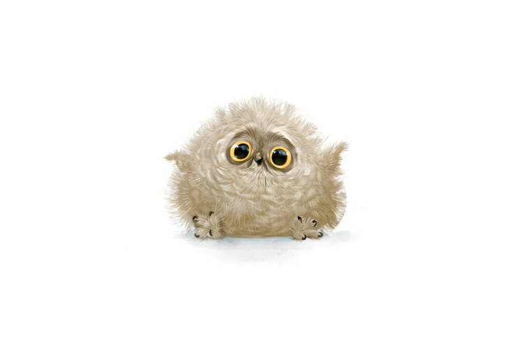 Funny Owl Illustration wallpaper