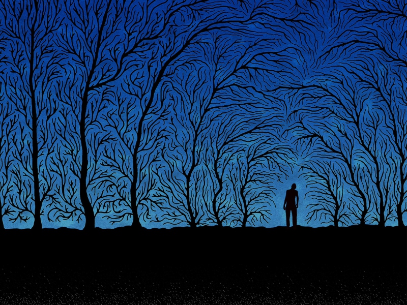 Das Blue Silhouettes Wallpaper 800x600