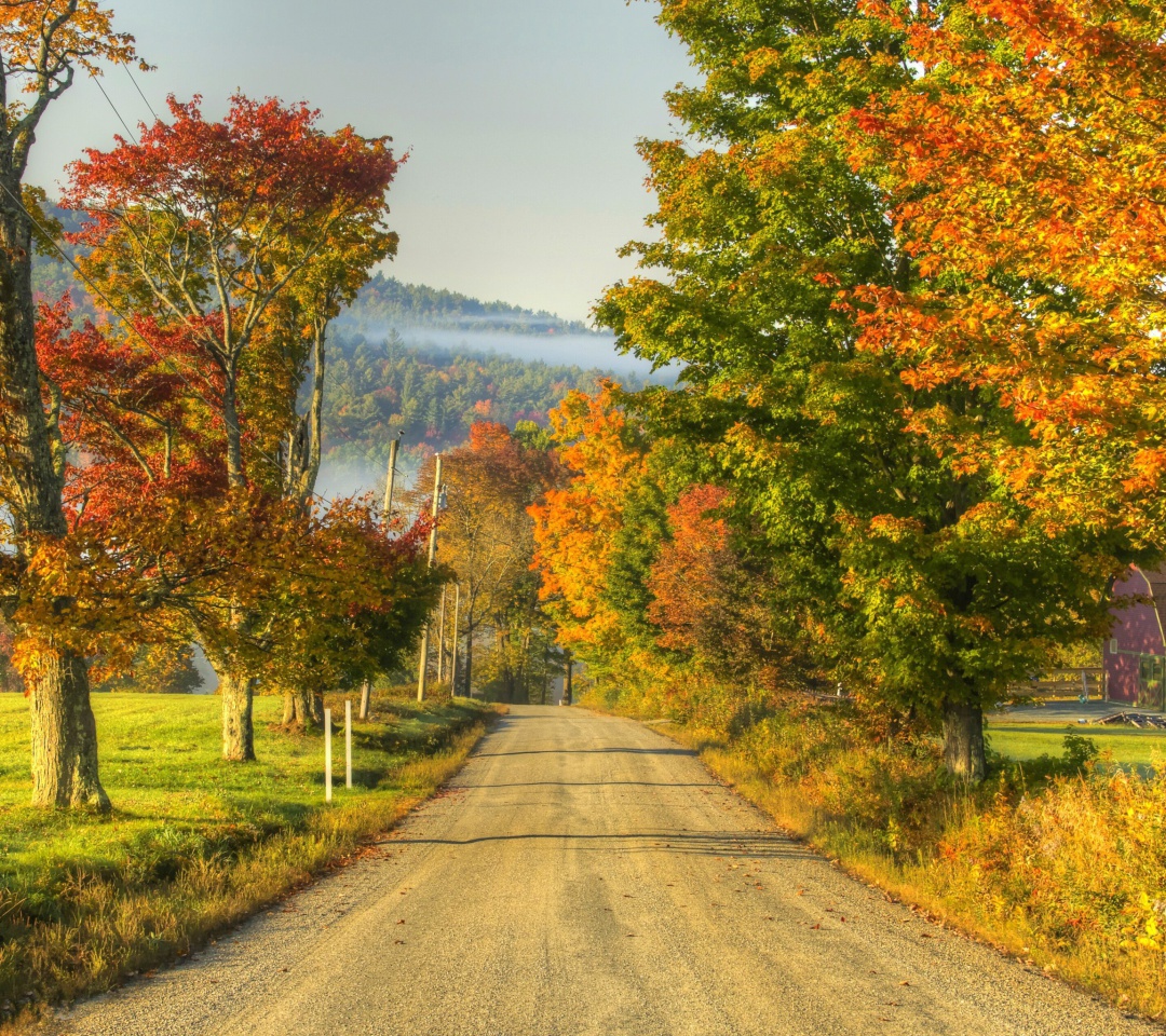 Обои Autumn Landscape 1080x960