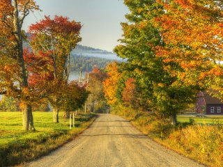 Autumn Landscape screenshot #1 320x240