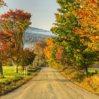 Kostenloses Autumn Landscape Wallpaper für iPad mini
