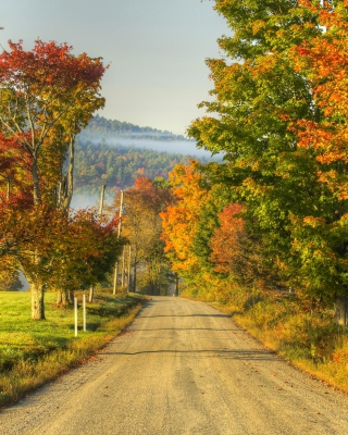 Autumn Landscape - Fondos de pantalla gratis para Nokia C1-01