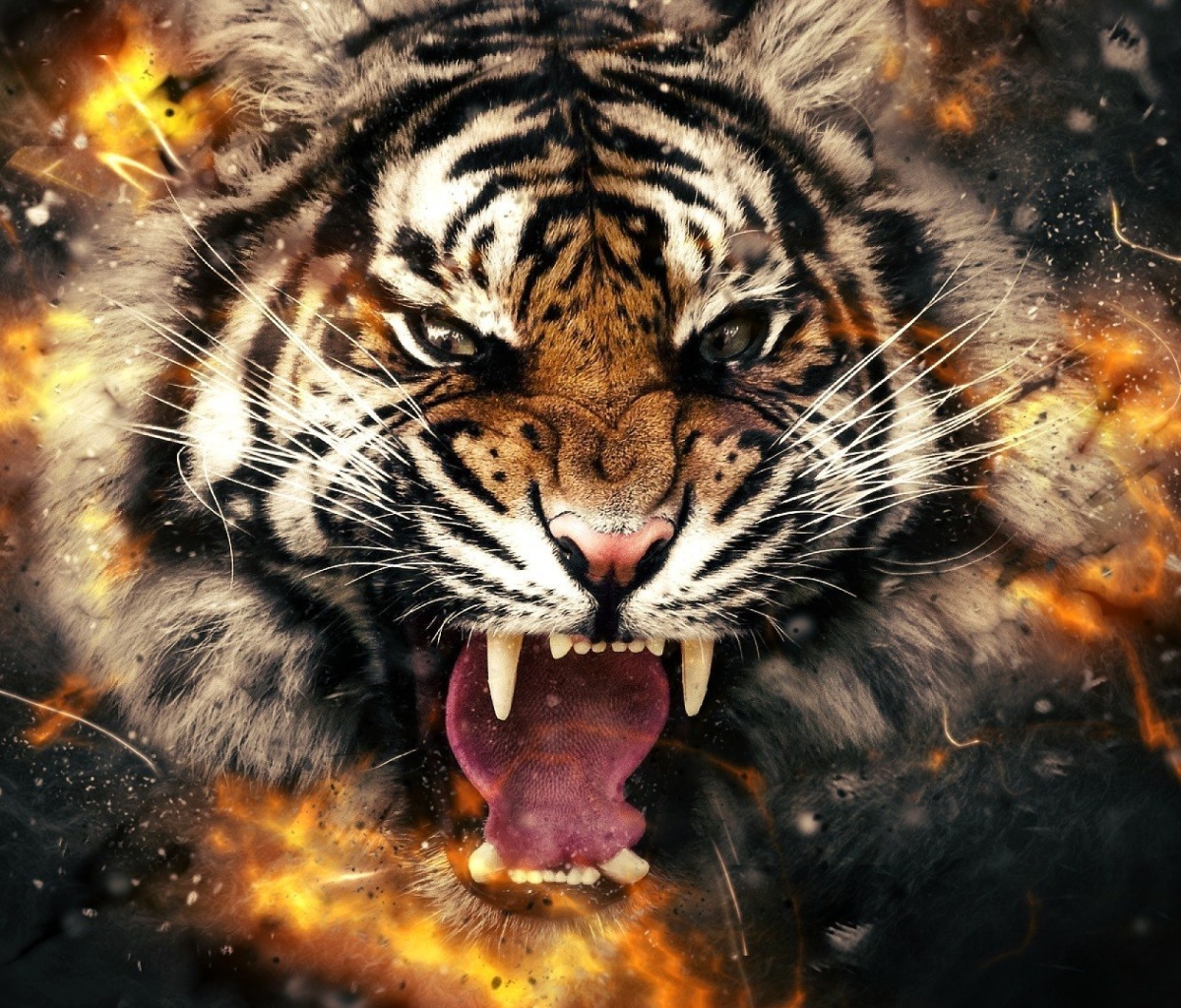 Fondo de pantalla Fire Tiger 1200x1024