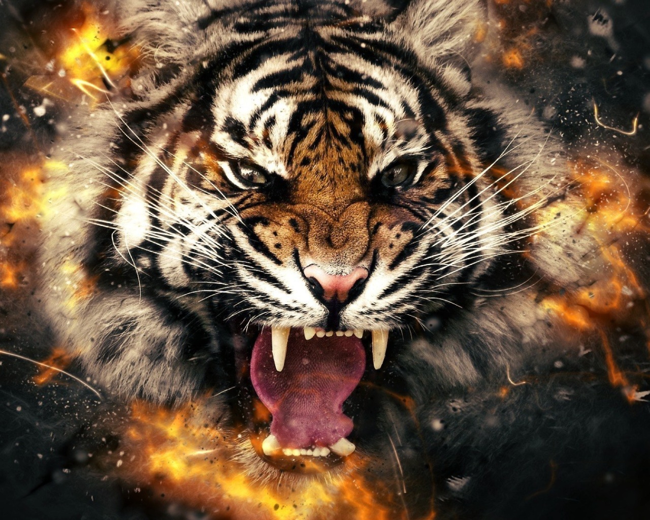 Fondo de pantalla Fire Tiger 1280x1024