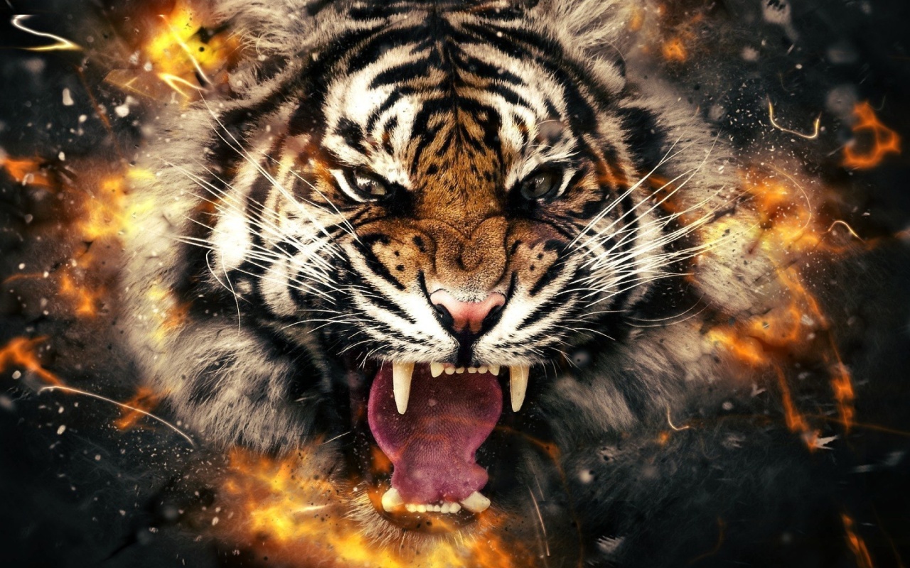 Fire Tiger wallpaper 1280x800