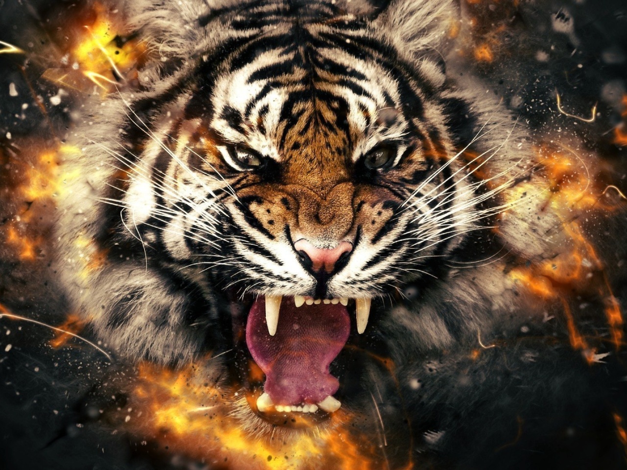 Fondo de pantalla Fire Tiger 1280x960