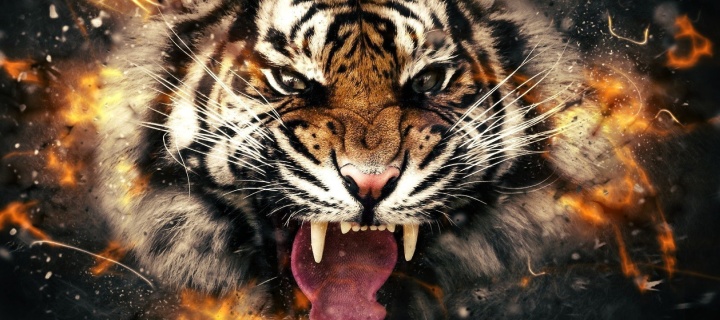 Fire Tiger wallpaper 720x320