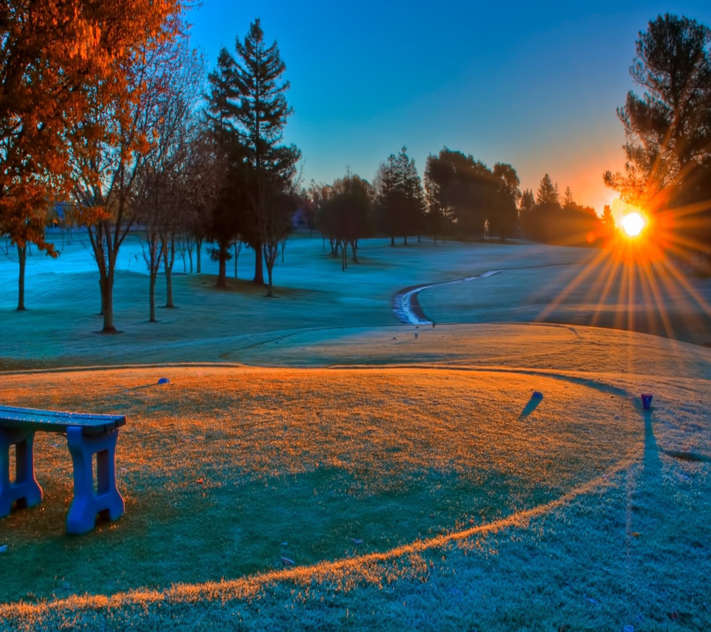 Sfondi Winter Sunset 1440x1280