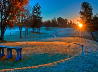 Winter Sunset - Fondos de pantalla gratis 