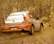 Mitsubishi Rally Car screenshot #1 176x144