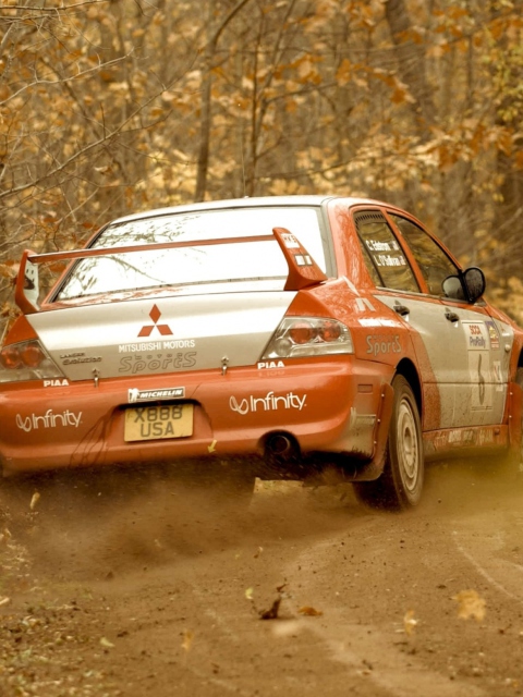 Sfondi Mitsubishi Rally Car 480x640