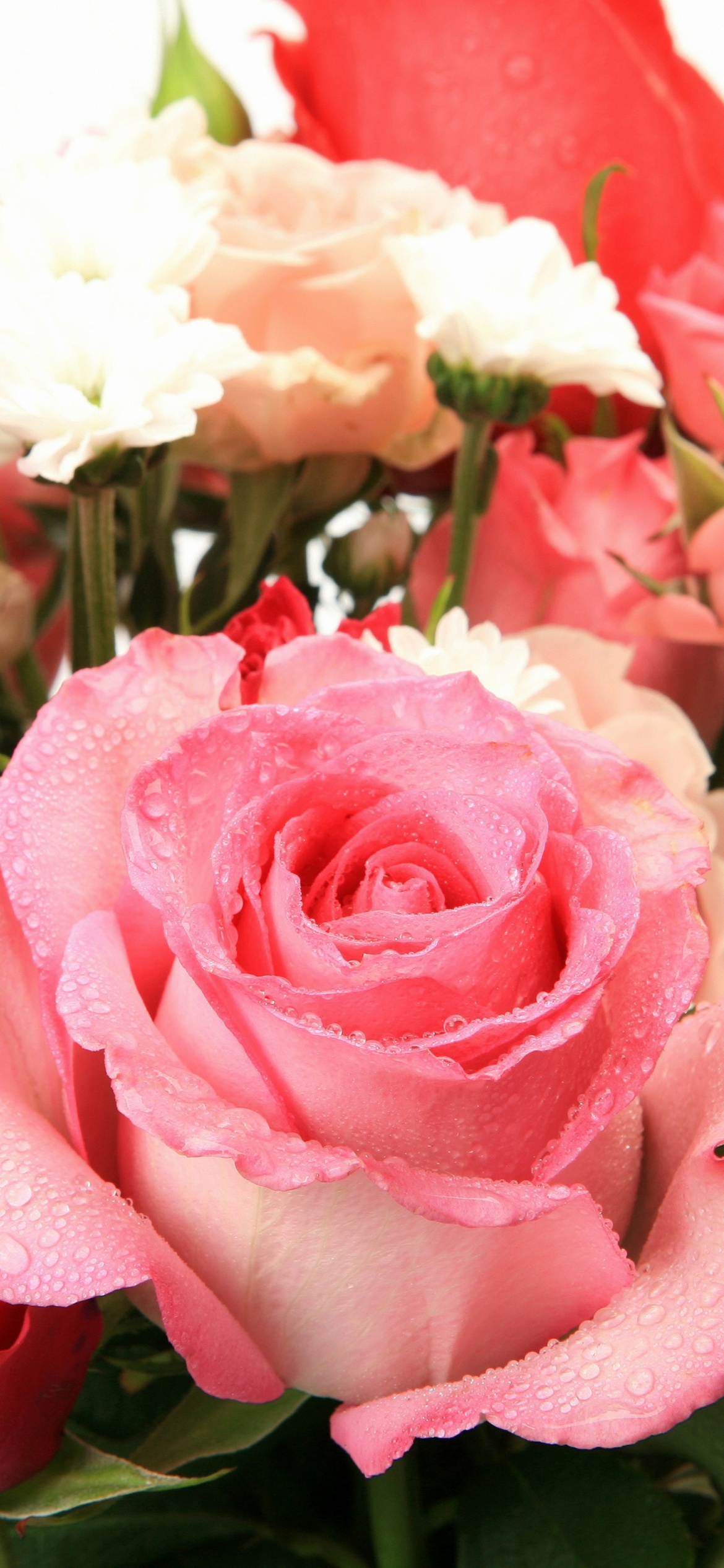 Das Bouquet of roses for Princess Wallpaper 1170x2532