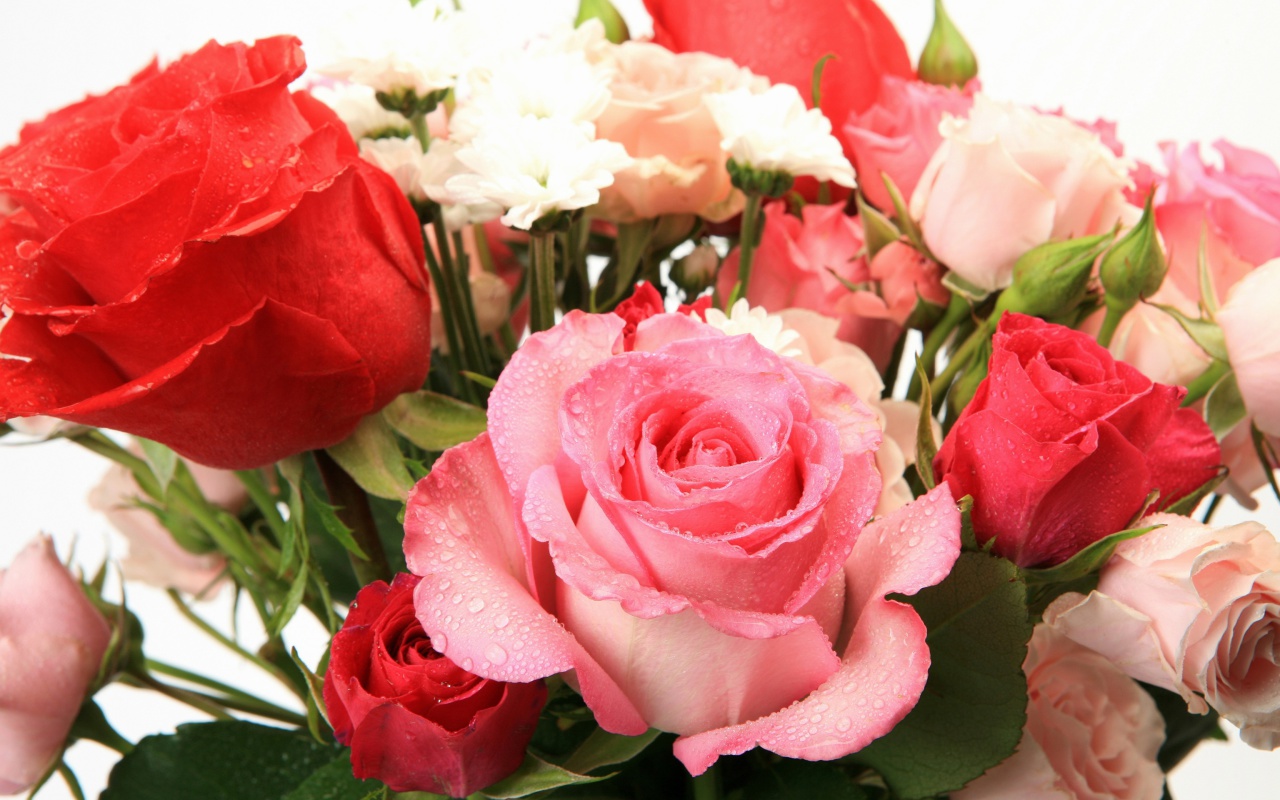 Bouquet of roses for Princess wallpaper 1280x800
