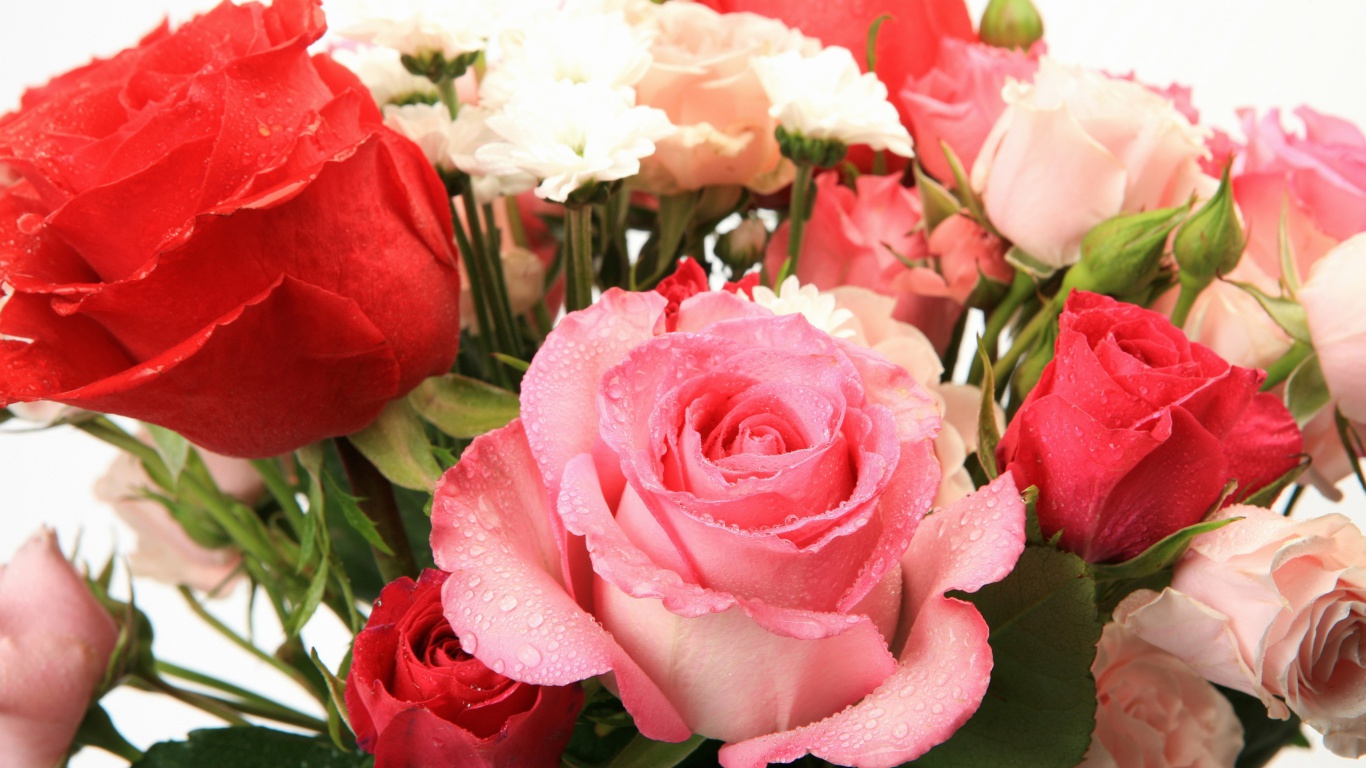 Sfondi Bouquet of roses for Princess 1366x768