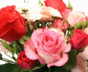 Bouquet of roses for Princess wallpaper 176x144