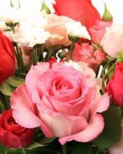 Bouquet of roses for Princess wallpaper 176x220