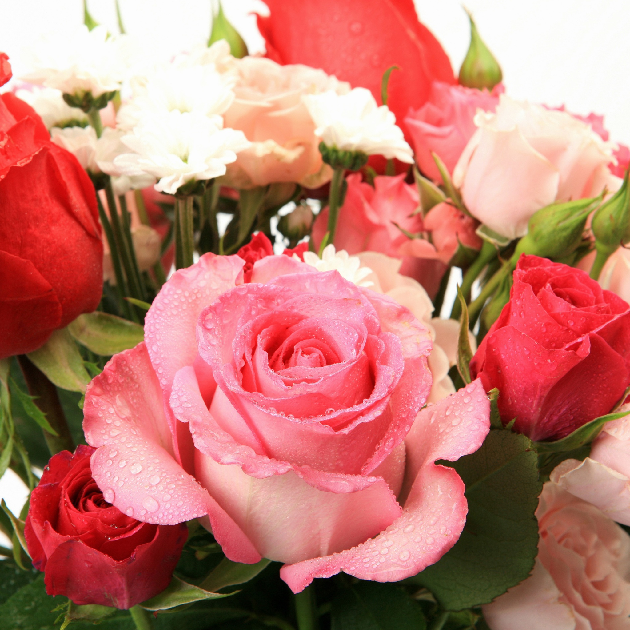 Screenshot №1 pro téma Bouquet of roses for Princess 2048x2048