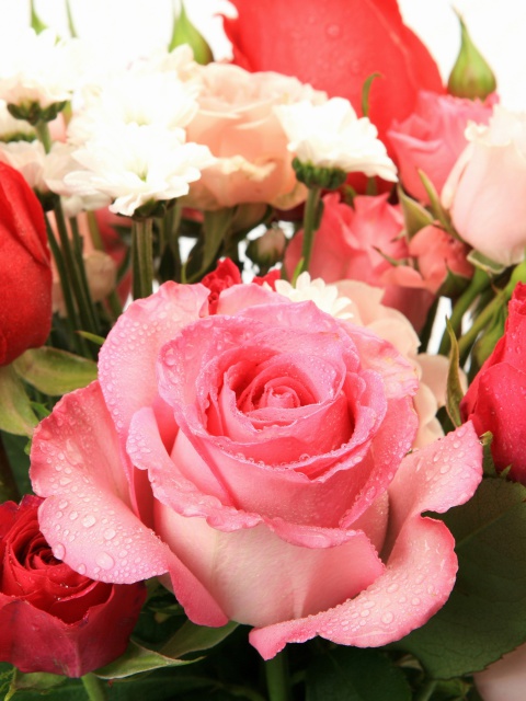 Das Bouquet of roses for Princess Wallpaper 480x640