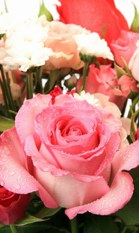 Das Bouquet of roses for Princess Wallpaper 480x800