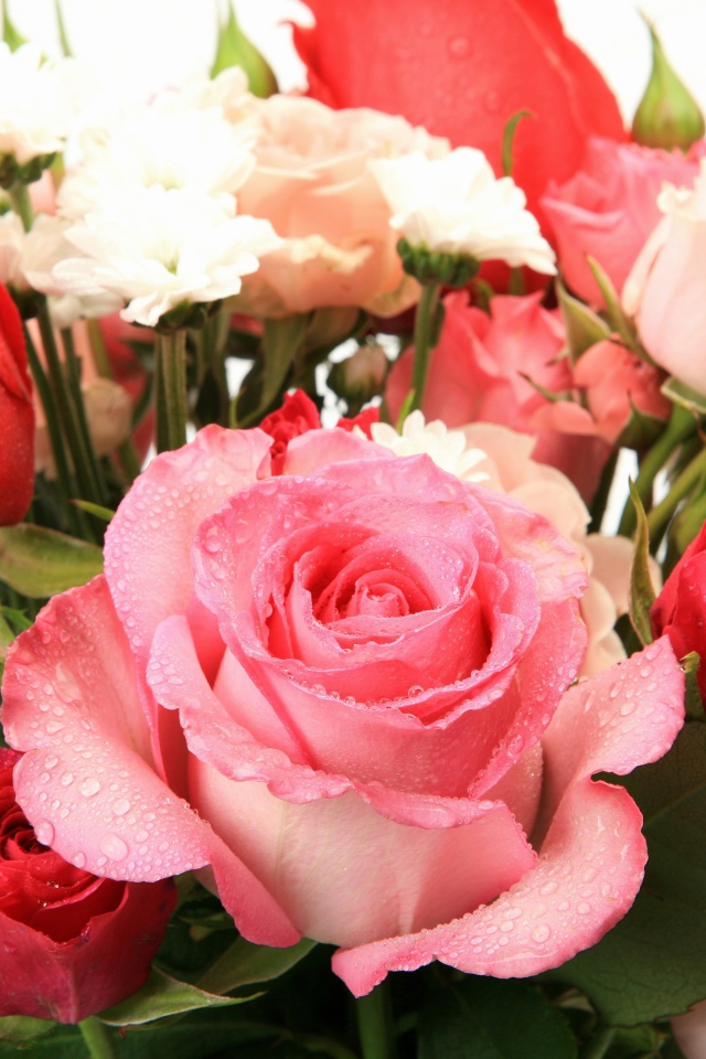 Bouquet of roses for Princess wallpaper 640x960