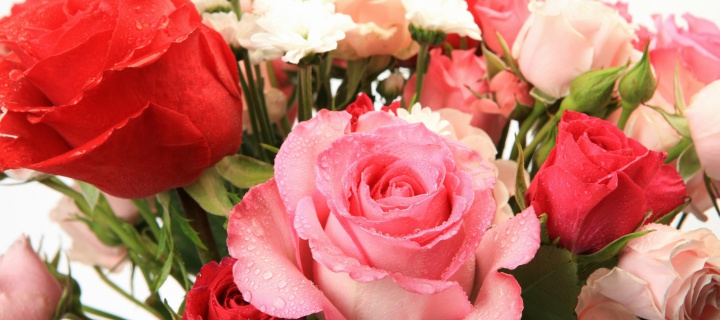Bouquet of roses for Princess wallpaper 720x320