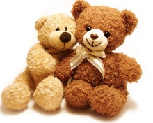 Fondo de pantalla Valentine Teddy Bear Hug 220x176