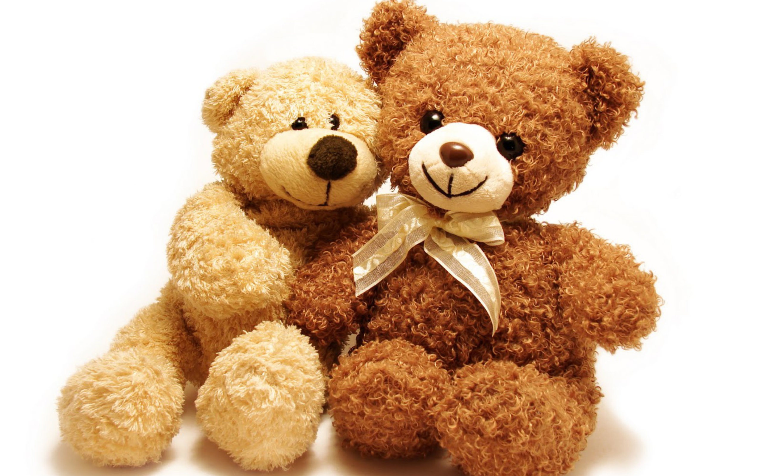 Valentine Teddy Bear Hug wallpaper 2560x1600