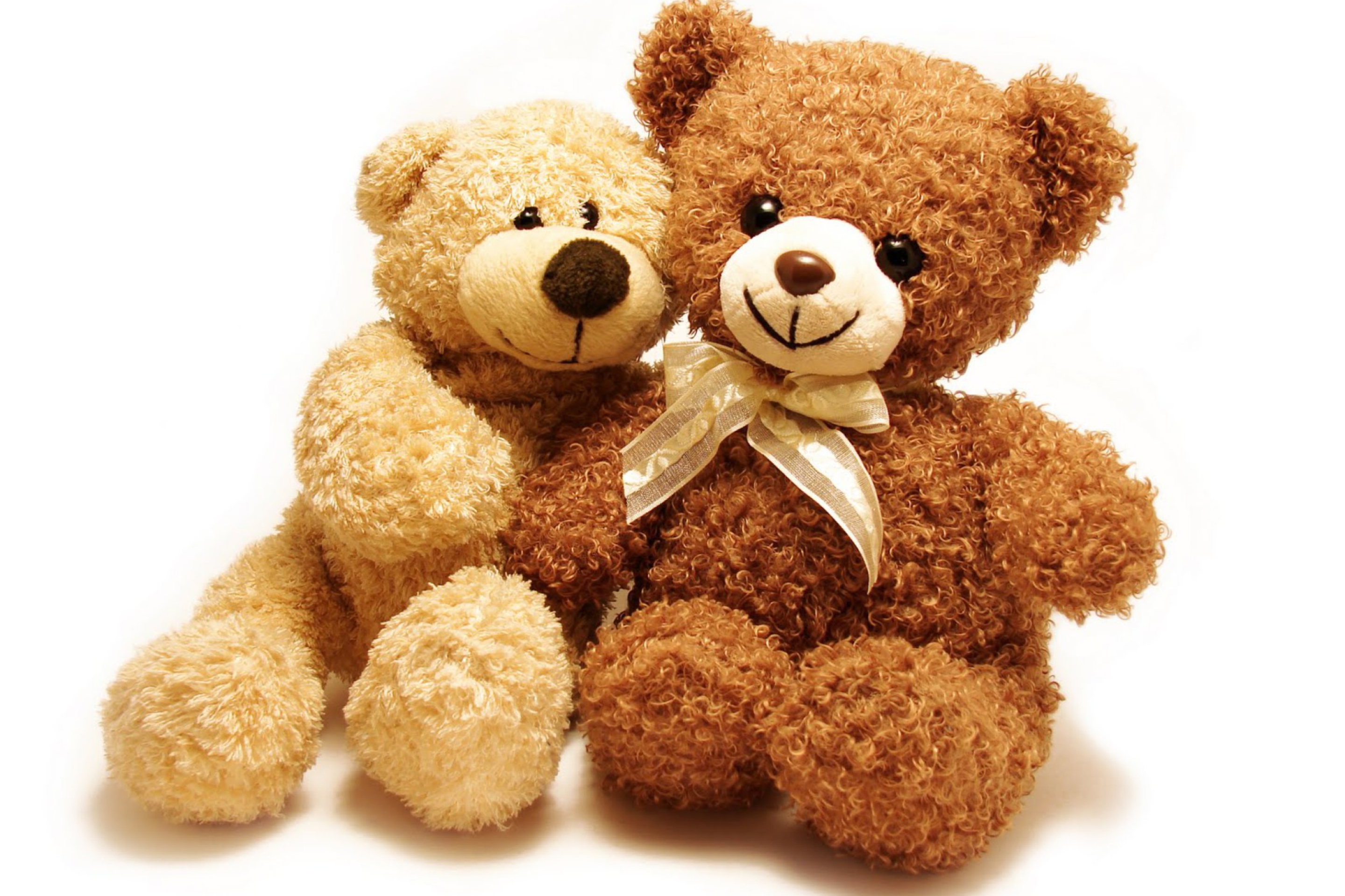 Valentine Teddy Bear Hug wallpaper 2880x1920