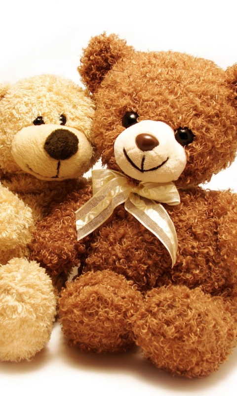 Обои Valentine Teddy Bear Hug 480x800