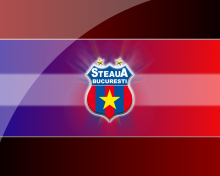 Screenshot №1 pro téma Steaua Bucuresti 220x176